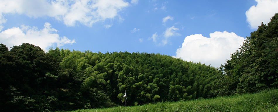 三瀬風景2